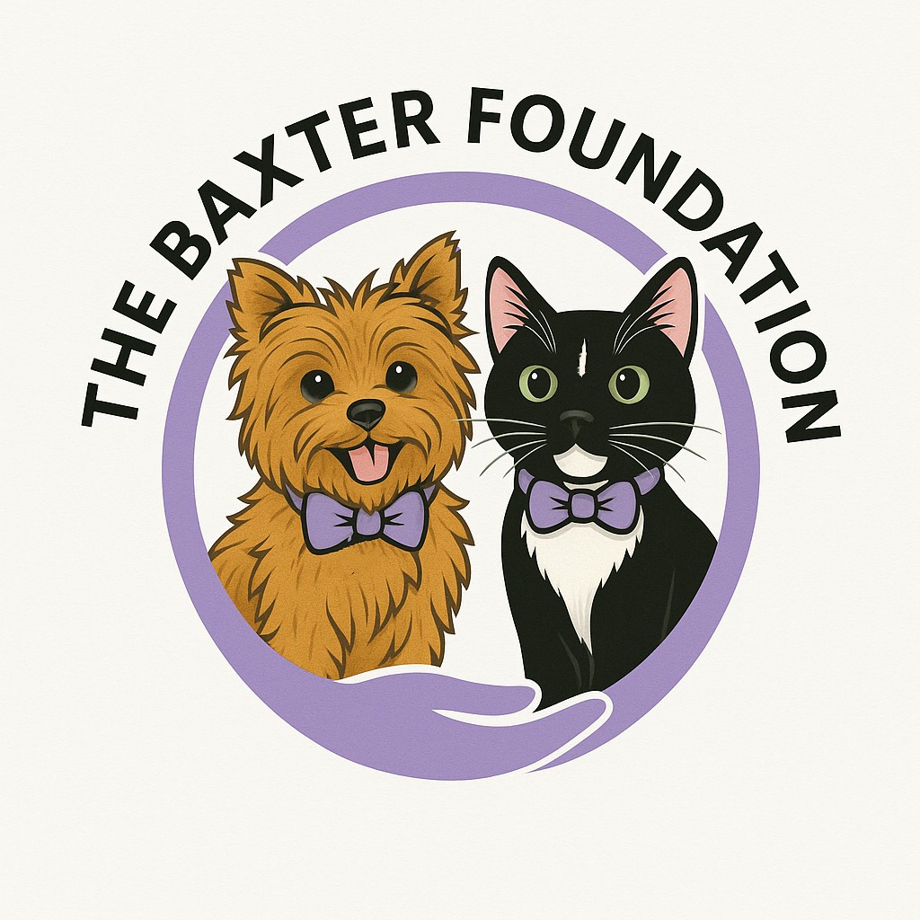 The Baxter Foundation Logo